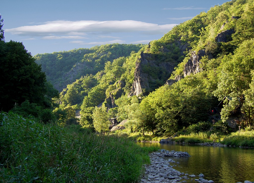 natur_16.jpg